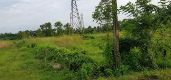 14 Cent Commercial Lands /Inst. Land for Sale in Yakkara, Palakkad