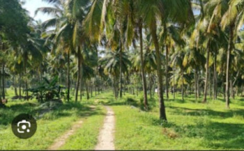 19 Acre Agricultural/Farm Land for Sale in Anaimalai, Coimbatore