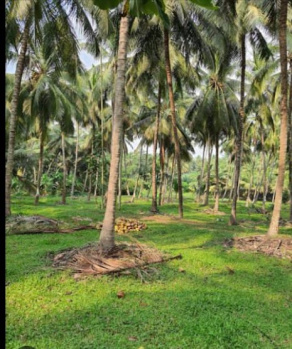45 Acre Agricultural/Farm Land for Sale in Anaimalai, Coimbatore