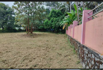 14 Cent Commercial Lands /Inst. Land for Sale in Kuzhalmannam, Palakkad