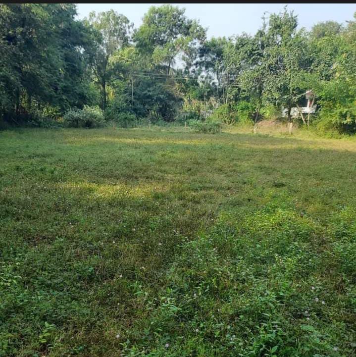 23 Cent Commercial Lands /Inst. Land for Sale in Kollengode, Palakkad