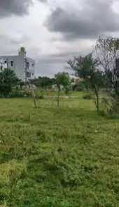 5 Cent Agricultural/Farm Land for Sale in Kozhippara, Palakkad