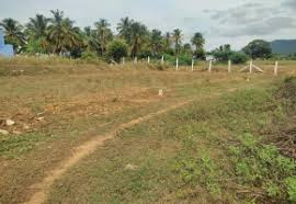 10 Acre Agricultural/Farm Land for Sale in Vadanappally, Thrissur