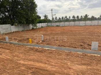 122 Cent Agricultural/Farm Land for Sale in Kozhinjampara, Palakkad