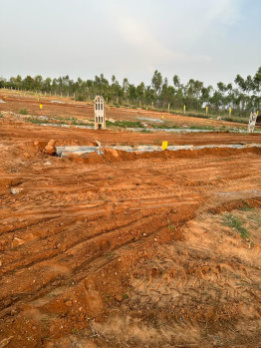 10 Cent Agricultural/Farm Land for Sale in Chittoor, Palakkad