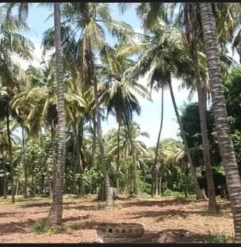 5 Acre Agricultural/Farm Land for Sale in Kozhinjampara, Palakkad