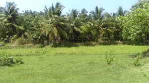 4.5 Cent Residential Plot for Sale in Kozhinjampara, Palakkad