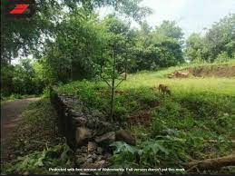 5.5 Cent Residential Plot for Sale in Pollachi, Coimbatore