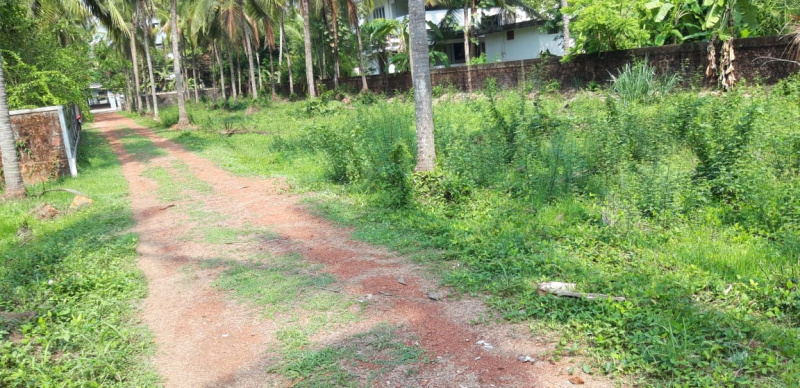 415 Cent Residential Plot for Sale in Vadakkencherry, Palakkad