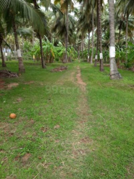 Residential Plot for Sale in Pudur, Palakkad (50 Cent)