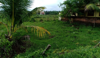 90 Cent Residential Plot for Sale in Nellaya, Palakkad