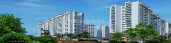 3 BHK Flats & Apartments for Rent in Hennur, Bangalore (1636 Sq.ft.)