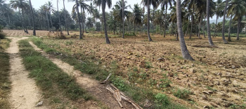 Agricultural/Farm Land for Sale in Malampuzha, Palakkad (20 Acre)