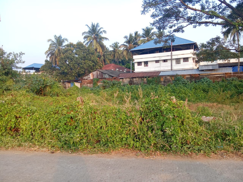 Residential Plot for Sale in Vadakkencherry, Palakkad (20 Cent)