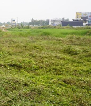 33 Cent Commercial Lands /Inst. Land for Sale in Marutha Road, Palakkad