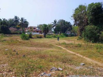 Residential Plot for Sale in Koduvayur, Palakkad (40 Cent)