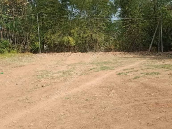 Residential Plot for Sale in Koduvayur, Palakkad (3 Ares)