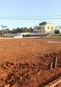 Residential Plot for Sale in Vadakkencherry, Palakkad (19.5 Cent)