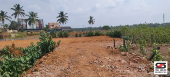 Residential Plot for Sale in Vadakkencherry, Palakkad (7.5 Cent)