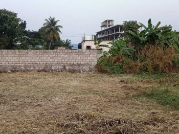 30 Cent Residential Plot for Sale in Pallassana, Palakkad