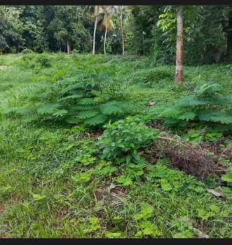 Residential Plot for Sale in Vadakkencherry, Palakkad (7.5 Cent)