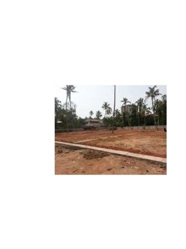 Residential Plot for Sale in Vadakkencherry, Palakkad (135 Cent)