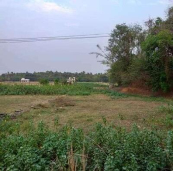 1.84 Acre Residential Plot for Sale in Poopara, Idukki