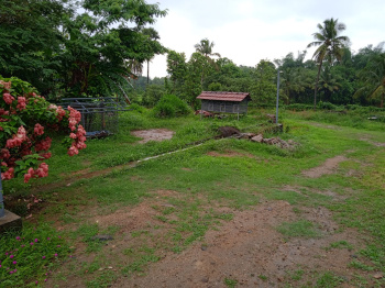 Residential Plot for Sale in Adimali, Idukki (92 Cent)