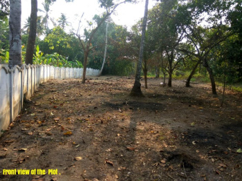 Residential Plot for Sale in Chittur, Palakkad (82 Cent)