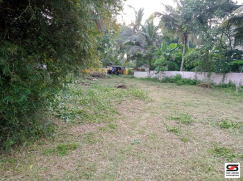 Residential Plot for Sale in Kallekkad, Palakkad (6 Cent)