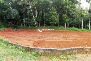 Residential Plot for Sale in Thirunellai, Palakkad (46 Cent)
