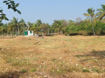 Residential Plot for Sale in Kizhakkancherry, Palakkad (18.3 Cent)