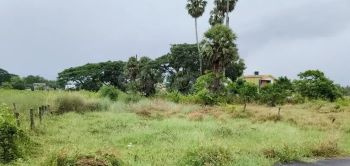 Residential Plot for Sale in Kodumbu, Palakkad (82 Cent)