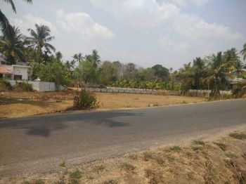 35 Cent Residential Plot for Sale in Thenkurissi, Palakkad