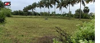 Residential Plot for Sale in Vadakkencherry, Palakkad (5 Acre)