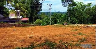 Residential Plot for Sale in Alathur, Palakkad (12 Cent)