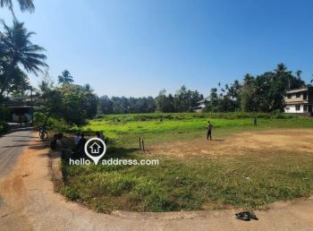 24.1 Cent Residential Plot for Sale in Thenkurissi, Palakkad