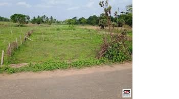 6 Cent Residential Plot for Sale in Nellaya, Palakkad