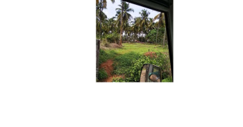 20 Cent Residential Plot for Sale in Sultanpet, Palakkad