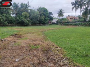 Residential Plot for Sale in Puthur, Palakkad (8.5 Cent)