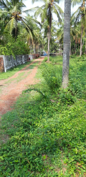 Residential Plot for Sale in Puthur, Palakkad (33 Cent)