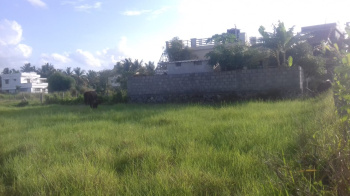 Agricultural/Farm Land for Sale in Alathur, Palakkad (32 Acre)