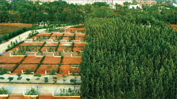 Residential Plot for Sale in Devanahalli, Bangalore (1200 Sq.ft.)