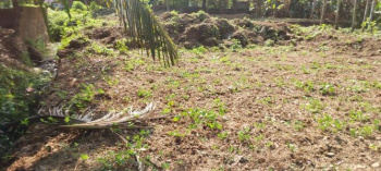 Residential Plot for Sale in Vandithavalam, Palakkad (15 Cent)