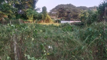 Residential Plot for Sale in Olavakkode, Palakkad (8 Cent)