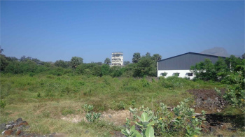 Commercial Lands /Inst. Land for Sale in Stadium Bypass Road, Palakkad (4 Cent)