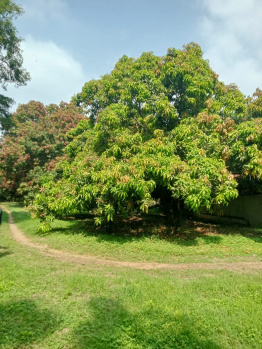 Residential Plot for Sale in Vadakkencherry, Palakkad (17 Cent)