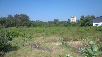 Agricultural/Farm Land for Sale in Chittur, Palakkad (8 Cent)