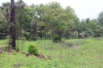 Residential Plot for Sale in Chandranagar, Palakkad (5.5 Cent)