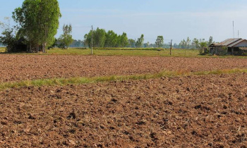 Residential Plot for Sale in Chandranagar, Palakkad (35 Cent)